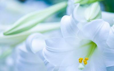 home-verliesbegeleiding home-verliesbegeleiding